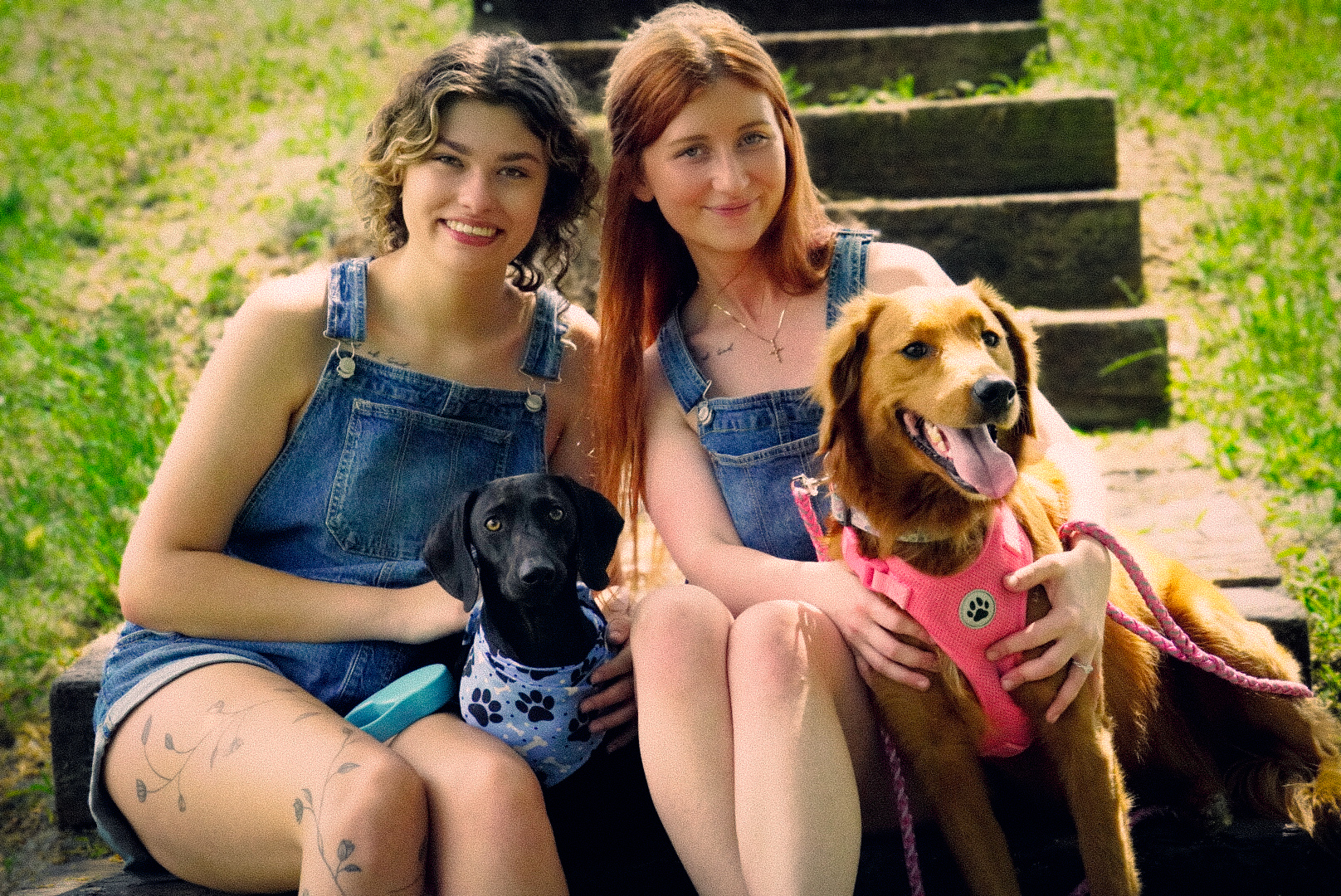 Friends with their dogs on garden steps