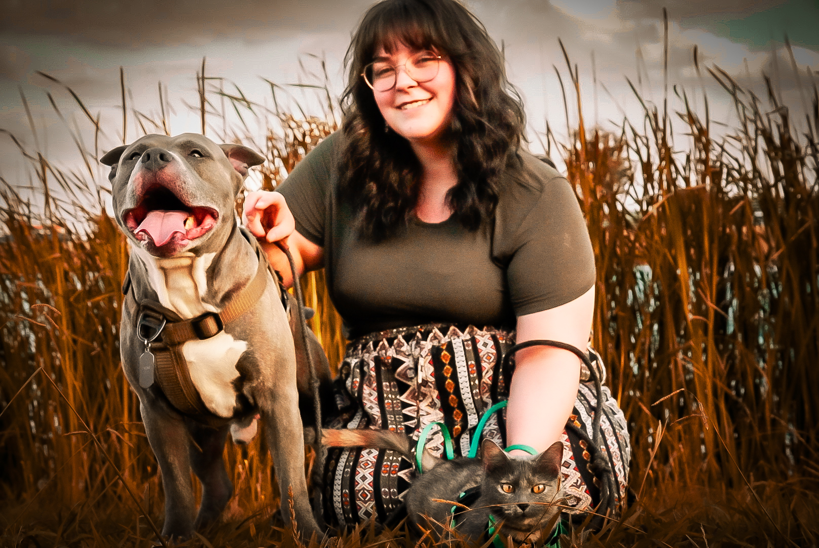 Woman with her pit bull and cat in a field