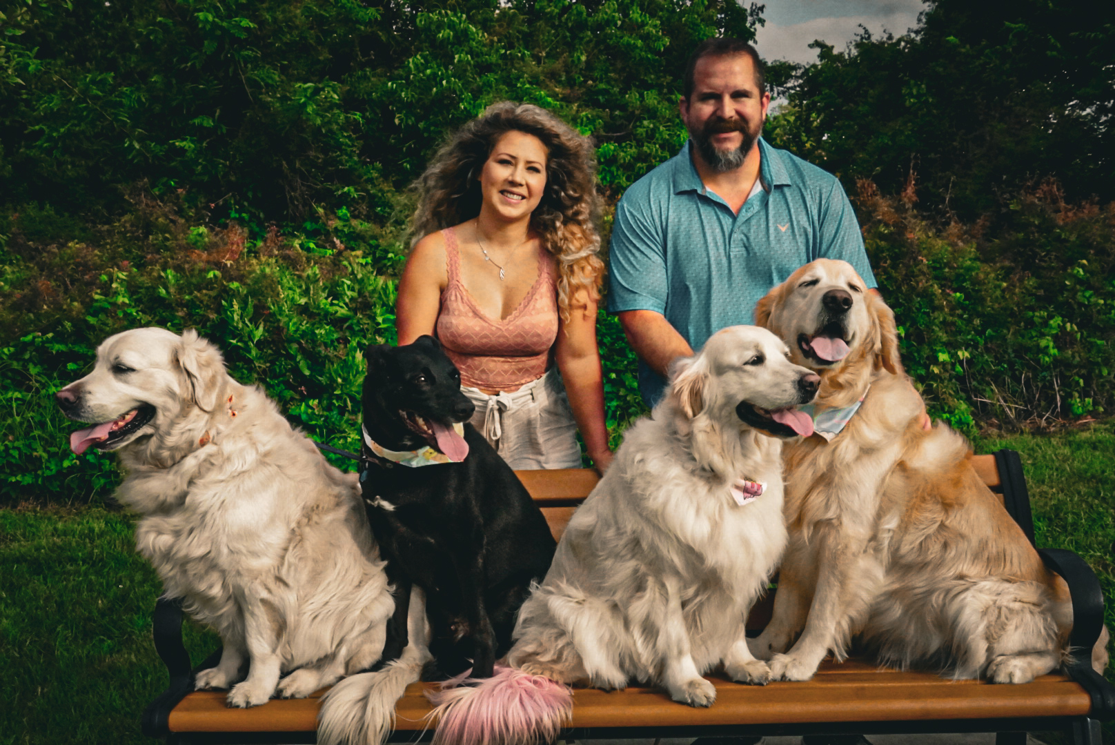 Family portrait with dogs on a park bench