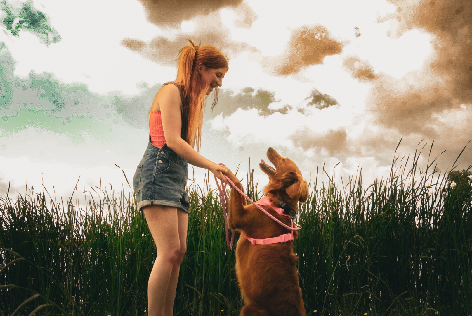 Girl with her golden retriever in tall grass