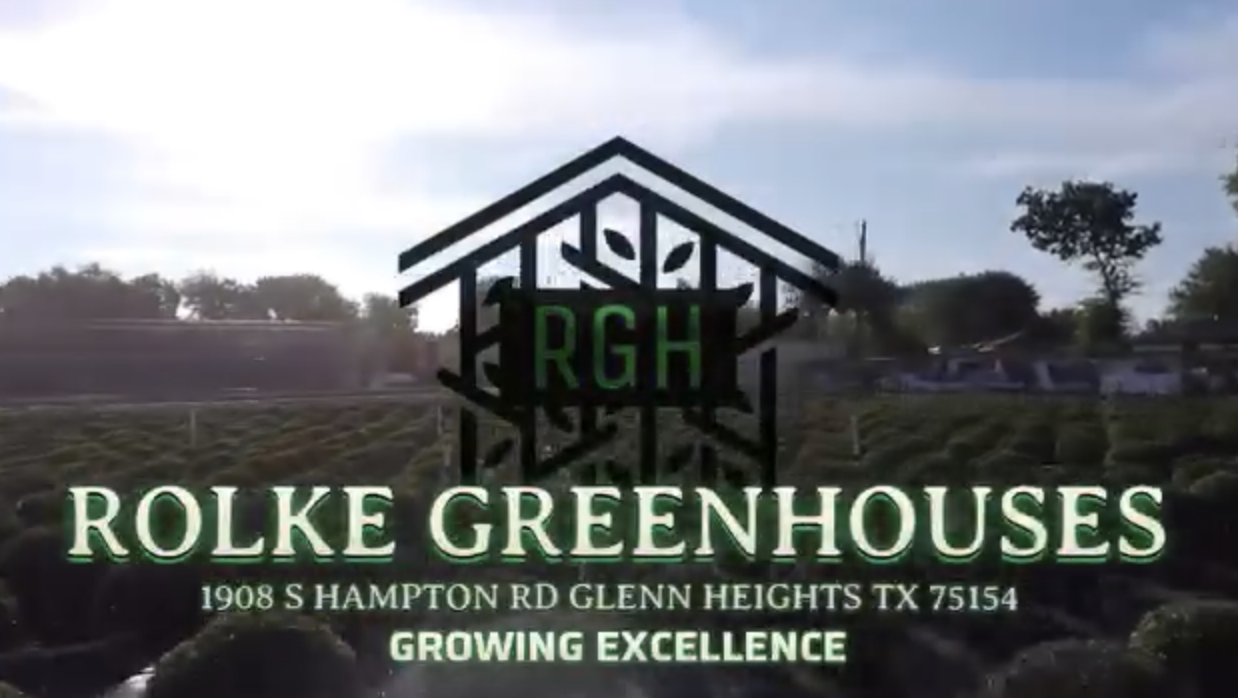 Promotional Video